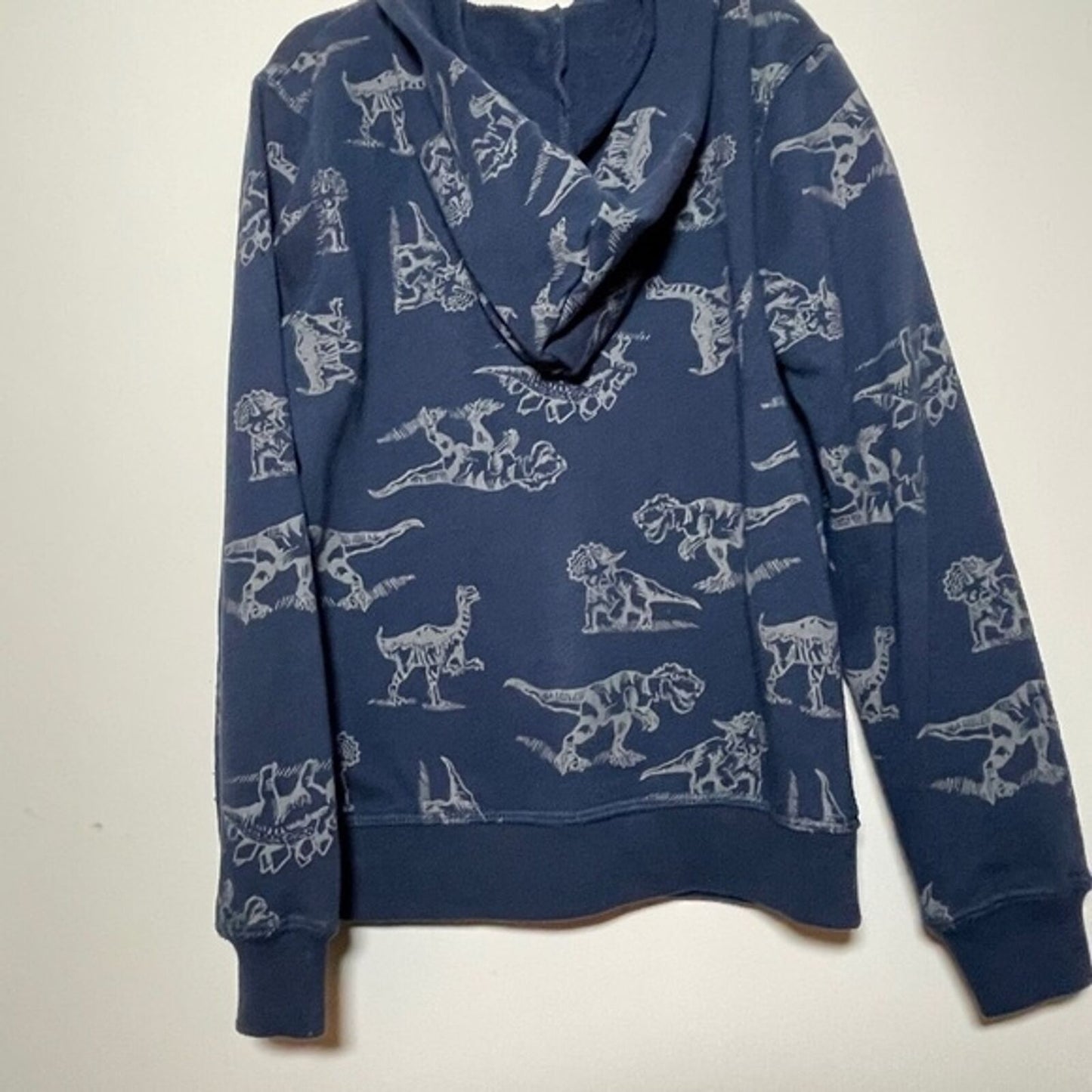 Flapdoodles Boys Size 7 Zip Front Hoodie Long Sleeve Sweatshirt Dinosaur