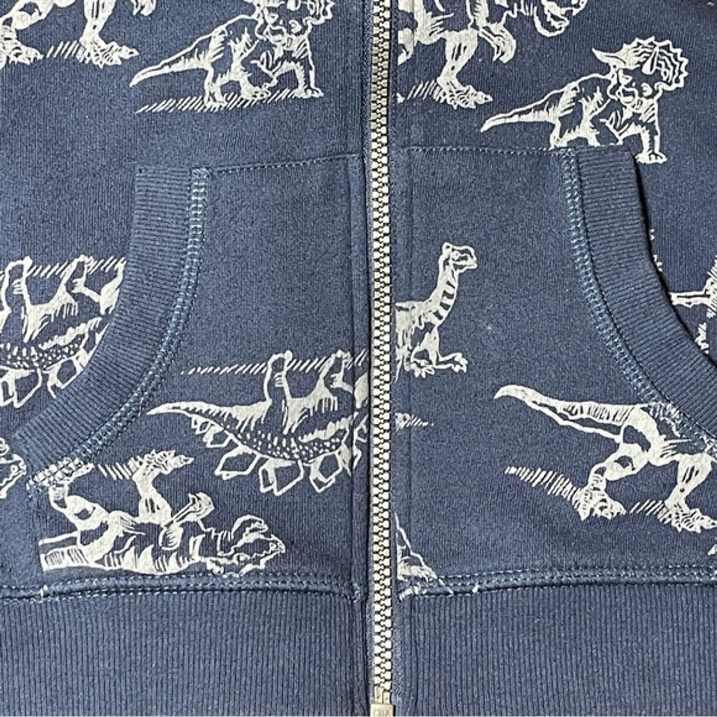 Flapdoodles Boys Size 7 Zip Front Hoodie Long Sleeve Sweatshirt Dinosaur