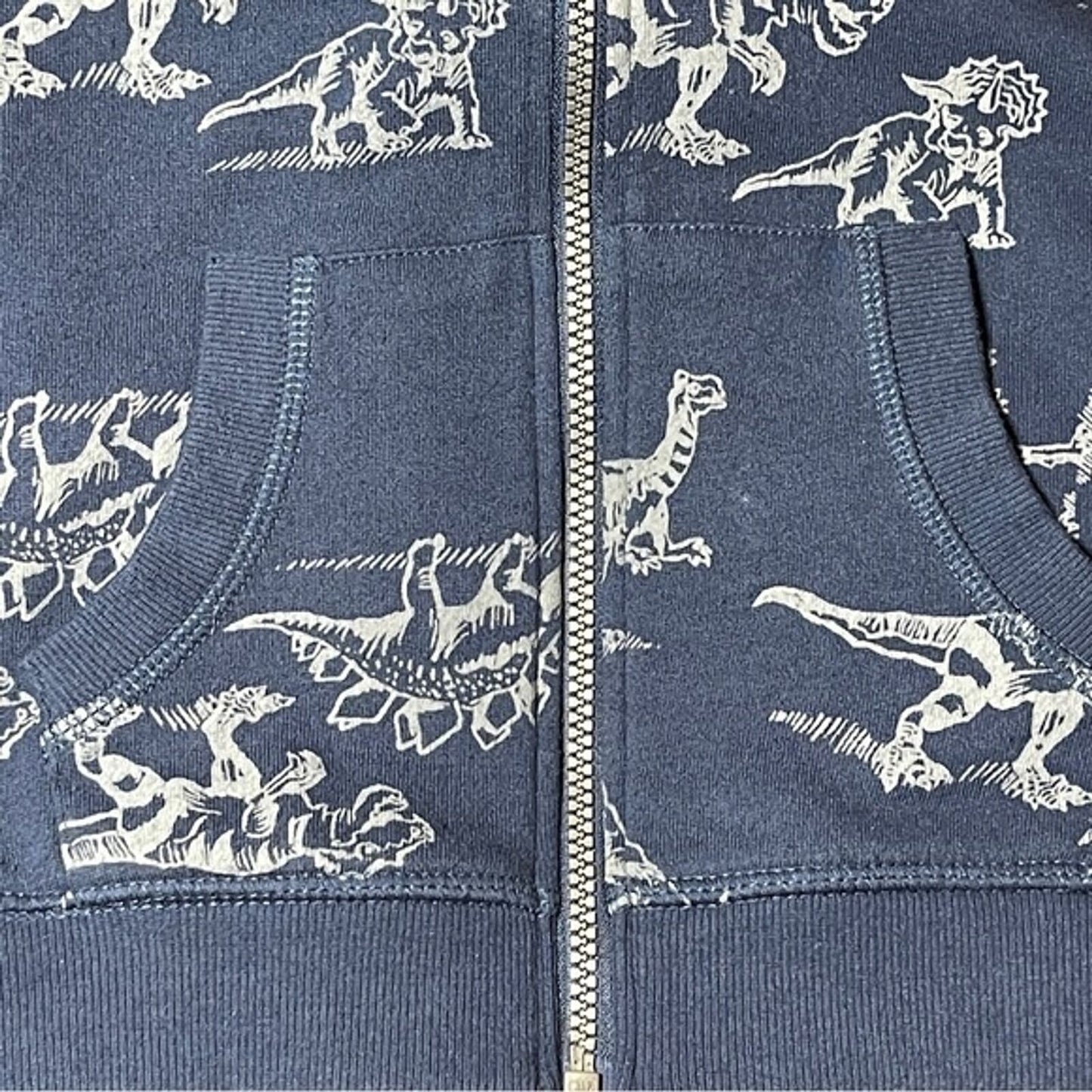 Stitch Fix Boys Dinosaur Zip Front Hoodie Sweatshirt Size 7