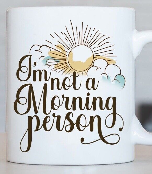 Im Not A Morning Person Sunshine Funny Mug Coffee Tea Sarcasm Gift 11 oz